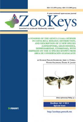 ZooKeys 461: A Synopsis of the Genus Ethmia Hübner in Costa Rica