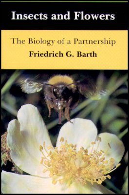 Insects and Flowers