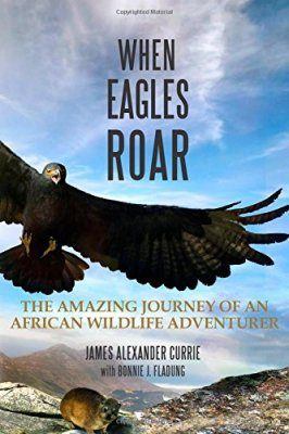 When Eagles Roar