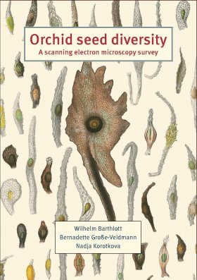 Orchid Seed Diversity