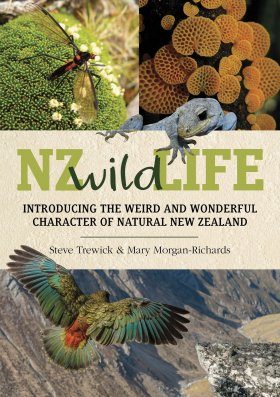 NZ Wild Life