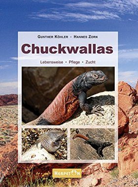 Chuckwallas: Lebensweise, Pflege und Zucht
