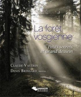La Forêt Vosgienne