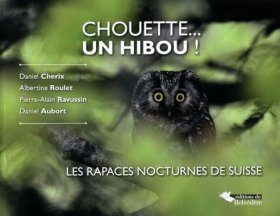 Chouette... un Hibou!