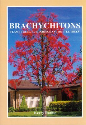 Brachychitons: Flame Trees, Kurrajongs and Bottle Trees