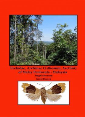 Erebidae, Arctiinae (Lithosiini, Arctiini) of Malay Peninsula - Malaysia, Supplementum