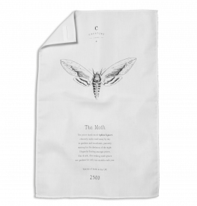 Privet Hawk Moth Tea Towel