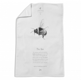Buff-tailed Bumblebee Tea Towel