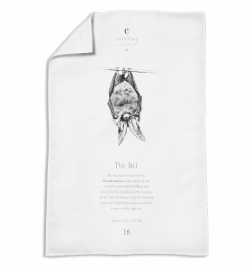 Brown Long-eared Bat Tea Towel