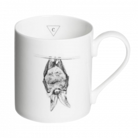 Brown Long-eared Bat Mug