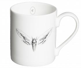 Privet Hawk Moth Mug