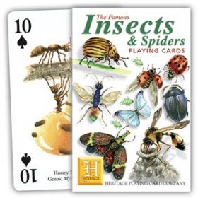 Insect and Spider Playing Cards