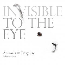 Invisible to the Eye