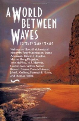 A World Between Waves