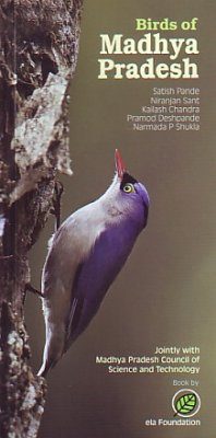 Birds of Madhya Pradesh