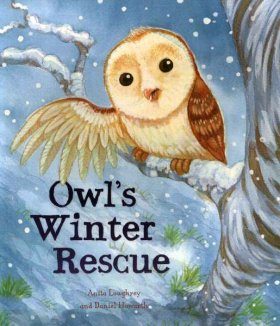 Owl's Winter Rescue