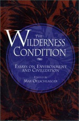 The Wilderness Condition