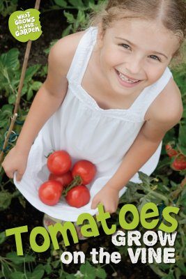 What Grows in My Garden: Tomatoes Grow on the Vine