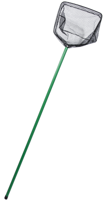 Children's Shrimp Net