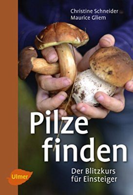 Pilze Finden