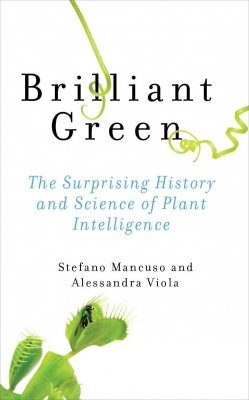 Brilliant Green