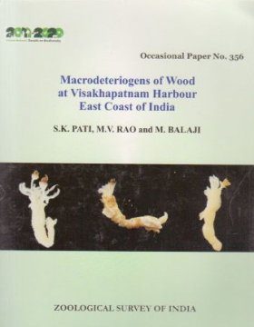 Macrodeteriogens of Wood at Visakhapatnam Harbour, East Coast of India