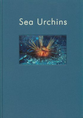 Sea Urchins