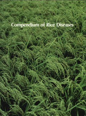 Compendium of Rice Diseases