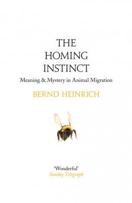 The Homing Instinct