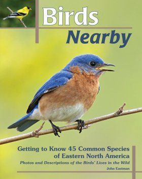 Birds Nearby