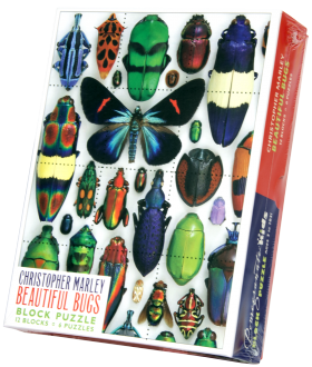 Beautiful Bugs Block Puzzle