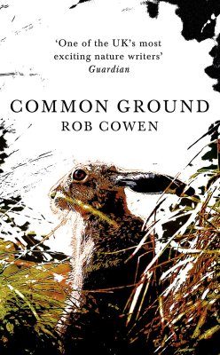 Common Ground