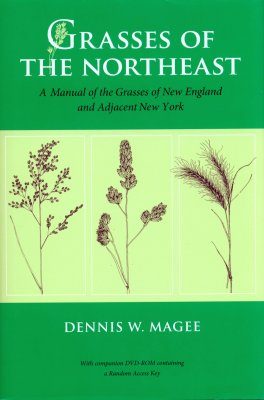 Grasses of the Northeast