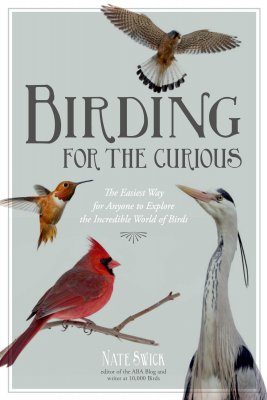 Birding for the Curious