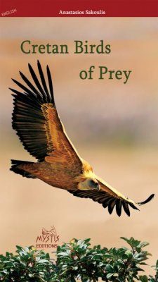 Cretan Birds of Prey