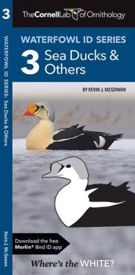 Cornell Lab of Ornithology Waterfowl ID: #3 Sea Ducks & Others