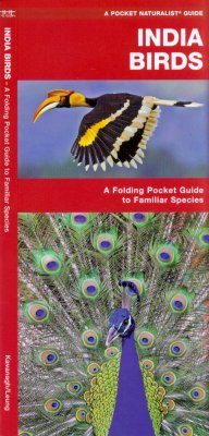 India Birds