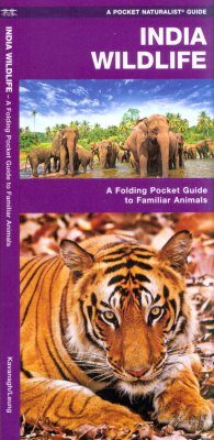India Wildlife