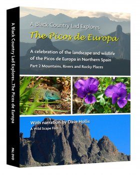 The Picos de Europa, Part 2: Mountains, Rivers and Rocky Places