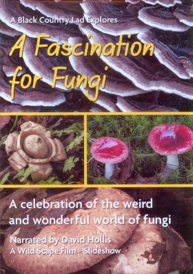 A Fascination for Fungi: A Celebration of the Weird and Wonderful World of Fungi (Region 2 / B)