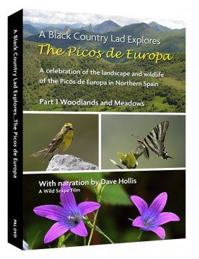 The Picos de Europa, Part 1: Woodlands and Meadows (Region 2)
