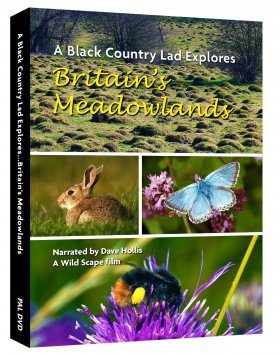 Britain's Meadowlands (Region 2)