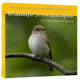Wildlife Soundscapes, CD 3: The Sounds of Summer