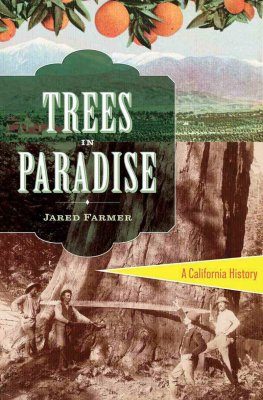 Trees in Paradise