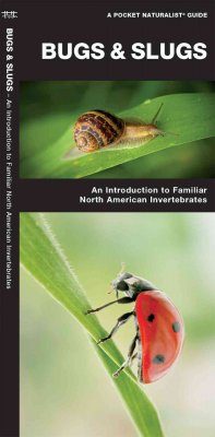 Bugs & Slugs
