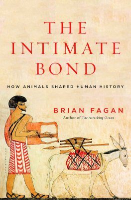 The Intimate Bond