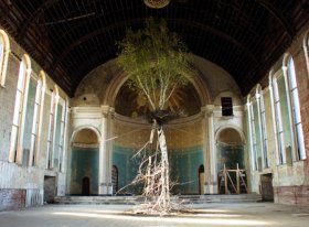 Global Tree Project
