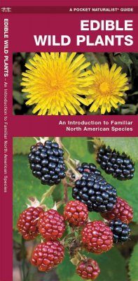 Edible Wild Plants