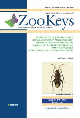 ZooKeys 490: Revision of the Ceratocapsine Renodaeus Group: Marinonicoris, Pilophoropsis, Renodaeus, and Zanchisme, with Descriptions of Four New Genera (Heteroptera, Miridae, Orthotylinae)