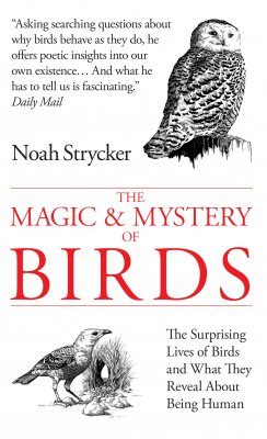The Magic & Mystery of Birds